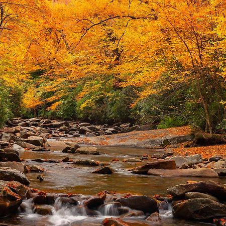 Peace, Serenity & Relaxation In The Smokies! Gatlinburg Dış mekan fotoğraf