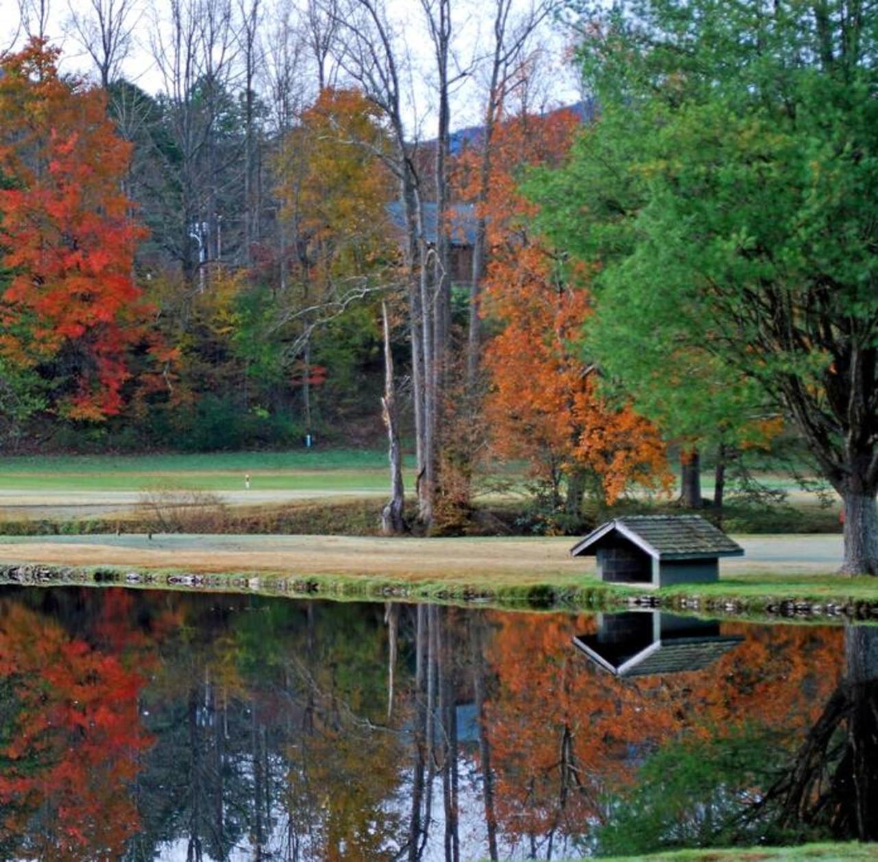 Peace, Serenity & Relaxation In The Smokies! Gatlinburg Dış mekan fotoğraf