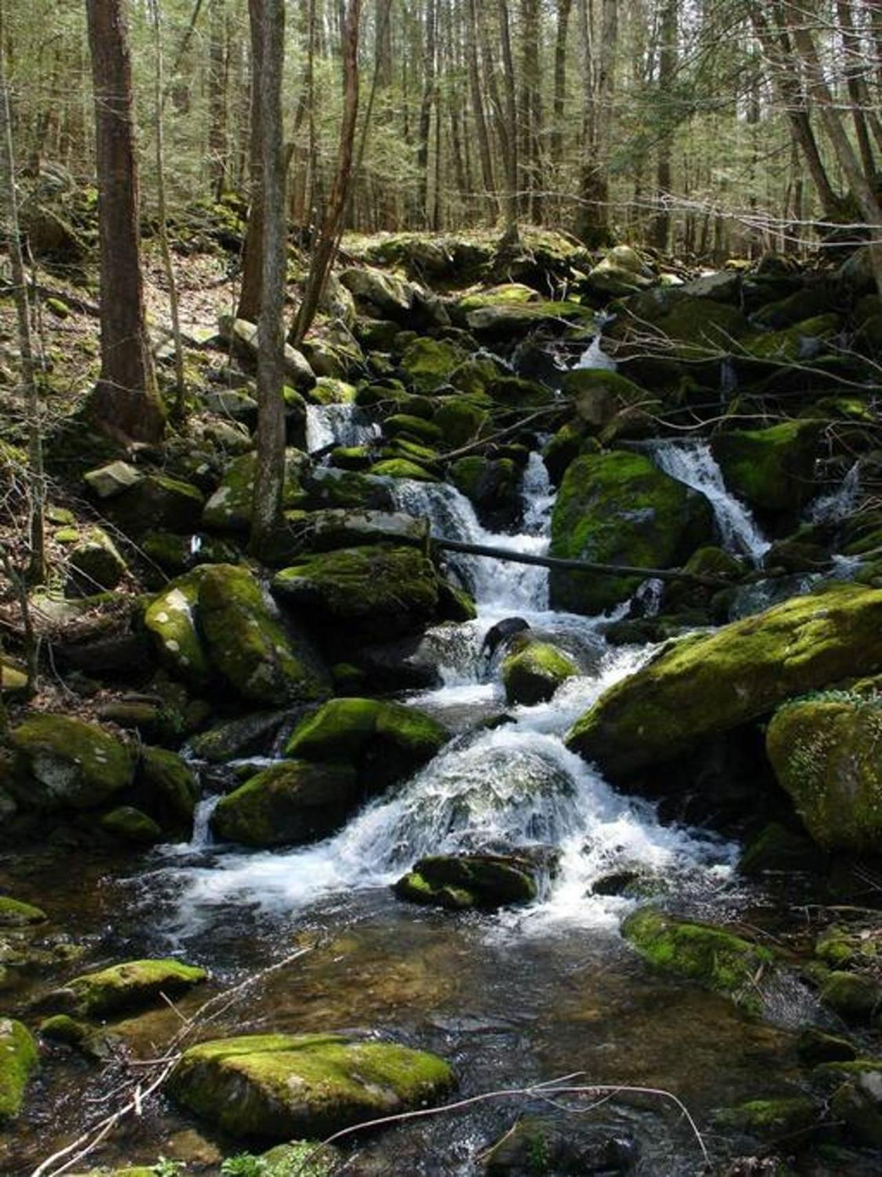 Peace, Serenity & Relaxation In The Smokies! Gatlinburg Dış mekan fotoğraf