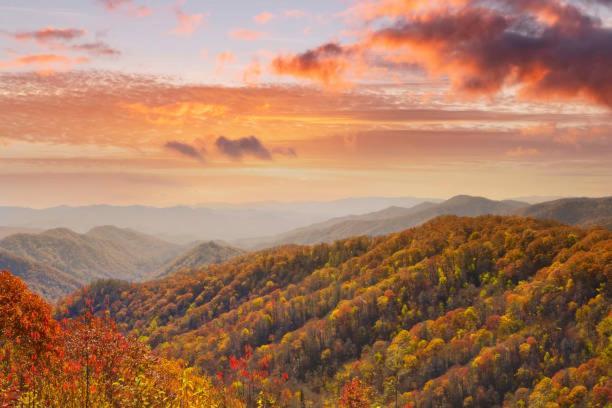 Peace, Serenity & Relaxation In The Smokies! Gatlinburg Dış mekan fotoğraf