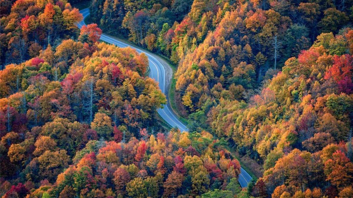 Peace, Serenity & Relaxation In The Smokies! Gatlinburg Dış mekan fotoğraf