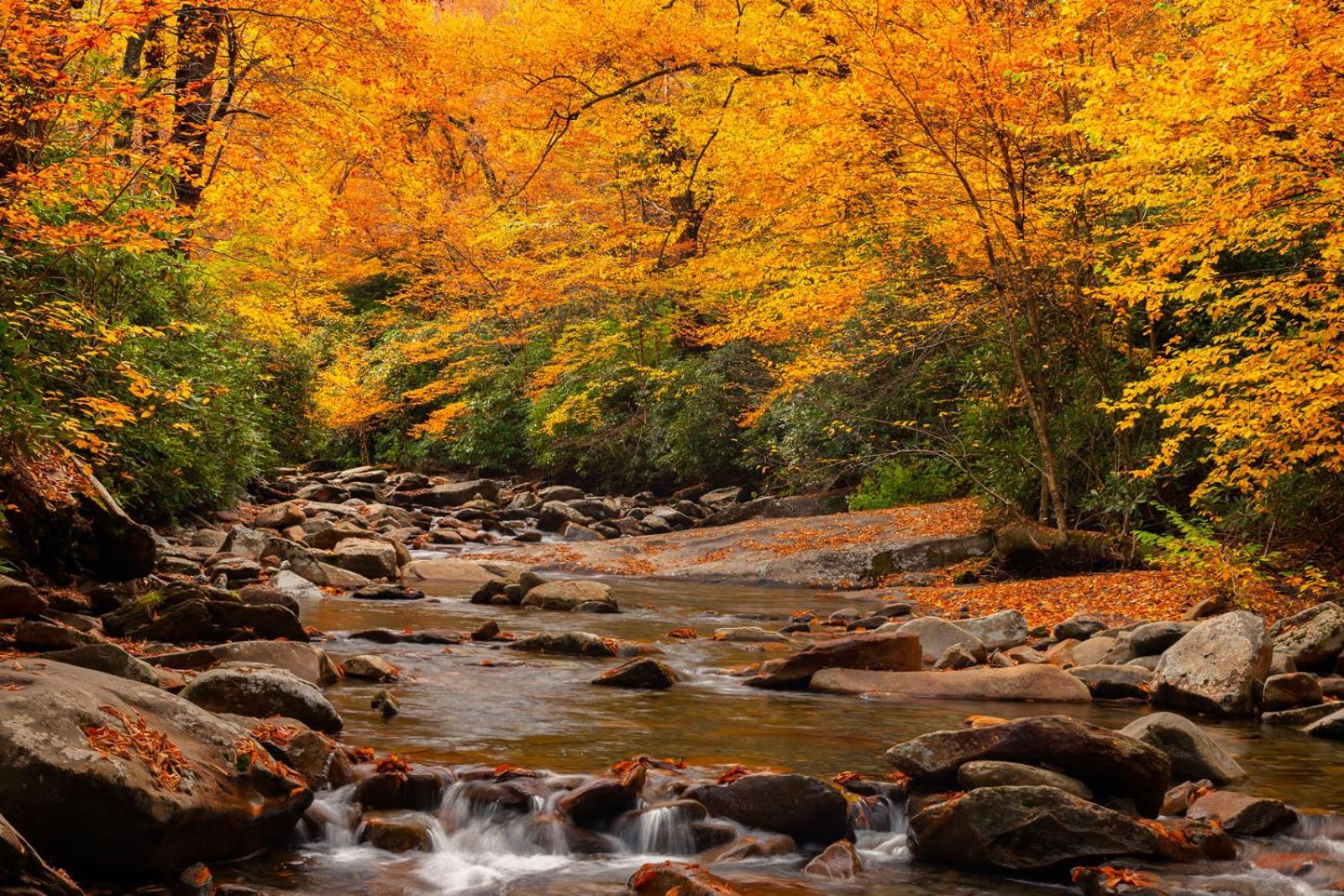 Peace, Serenity & Relaxation In The Smokies! Gatlinburg Dış mekan fotoğraf
